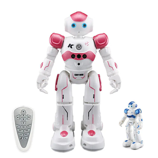 Robot Toy Gesture Control